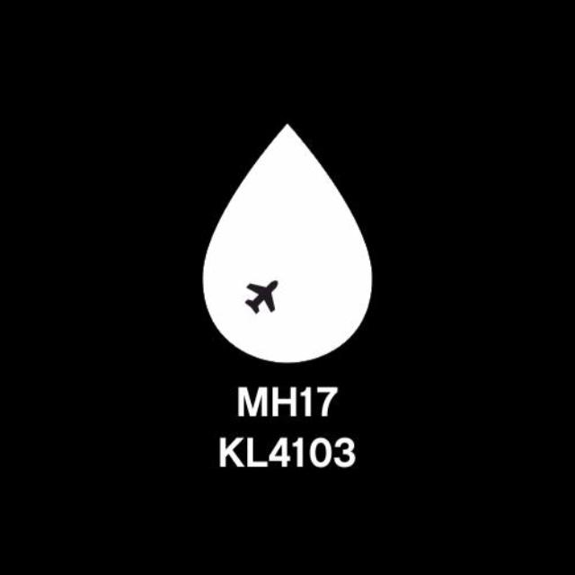 MH17